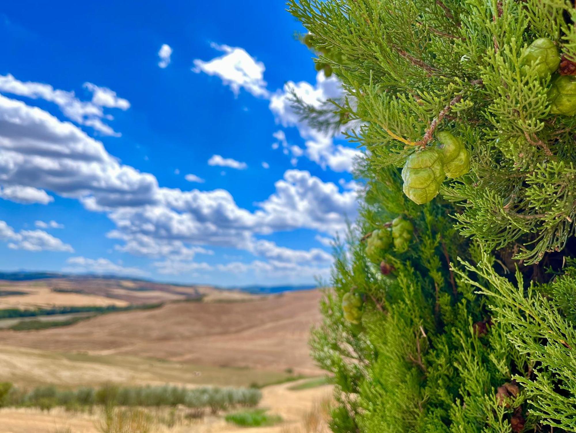 Poggiosalto In Toscana Pienza Exterior foto